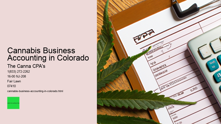 Cannabis Business Accounting in Colorado